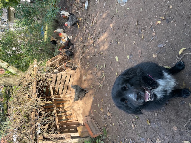 Detailbild aus dem Spielbereich