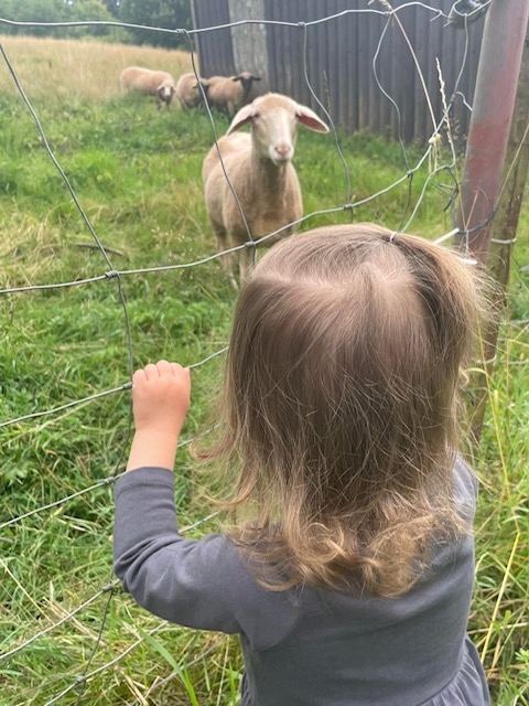 Weiteres Naturbild aus dem Betreuungsalltag