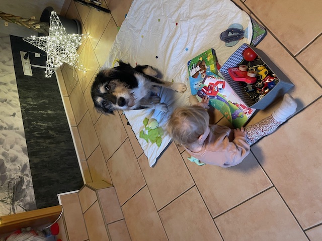 Einblick in Naturerlebnisse der Kinder