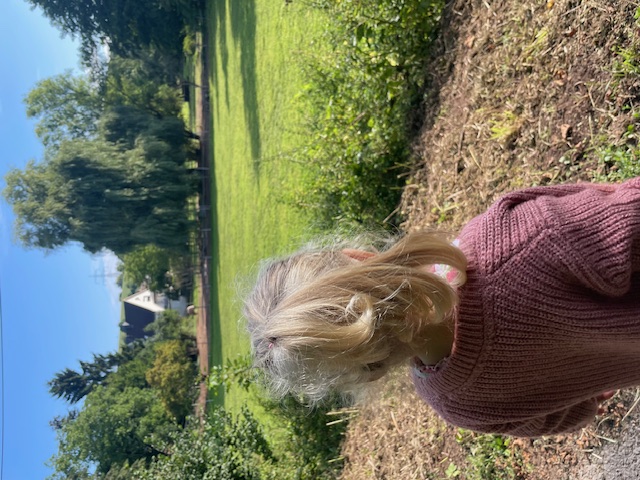 Garten- oder Außenbereich der Kindertagespflege