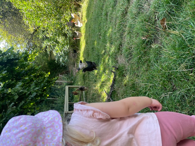 Naturerlebnis in der Kindertagespflege