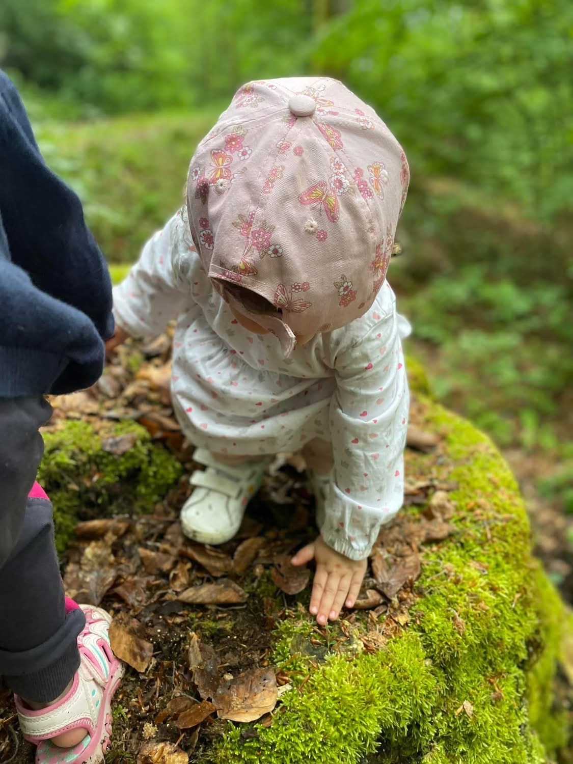 Zusätzlicher Eindruck aus der Natur und dem Garten