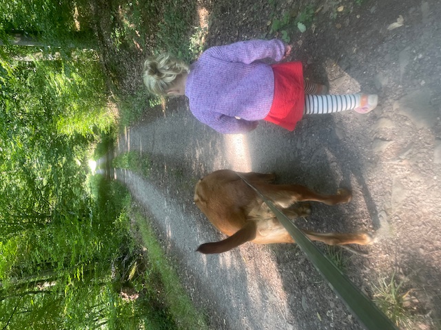 Weiteres Tierbild aus dem Betreuungsalltag