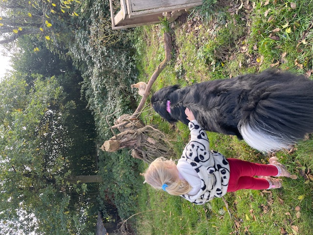 Tiergestützte Pädagogik im Alltag